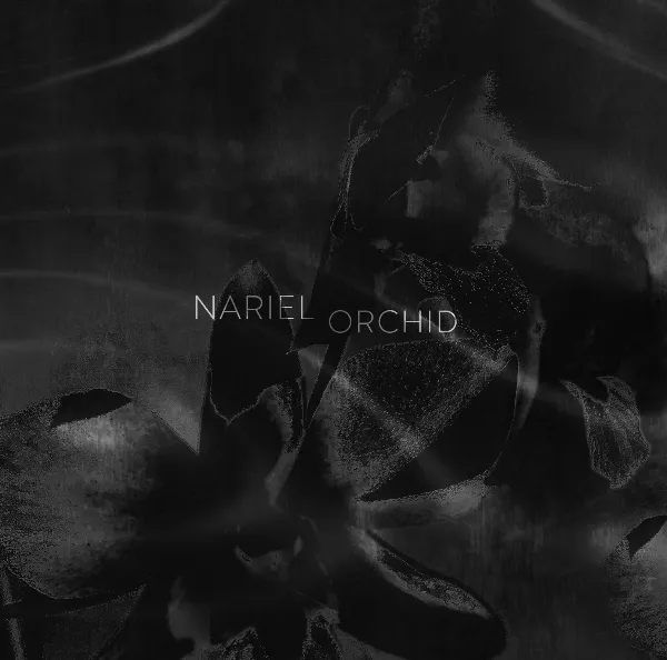outro cover